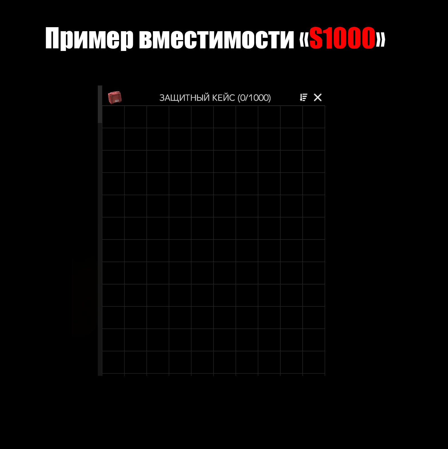 Защитный кейс «S1000»